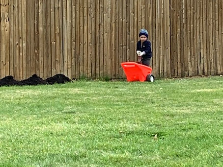 A Time to Garden