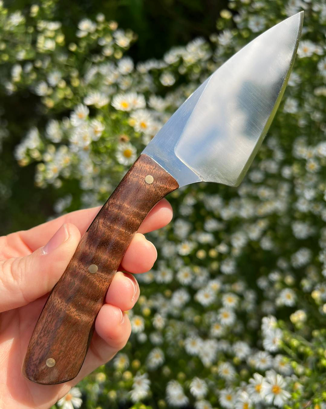 "The Rollins" Black Mountain Pig Skinner