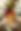650A1479-scaled.jpg