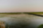BlackFoxBrancRice_Irrigation-4.jpg