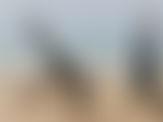 Voyager au Sénégal avec des enfants : idées d'activités et conseils pratiques