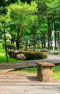 parques-guadalajara-picnicswebp.webp