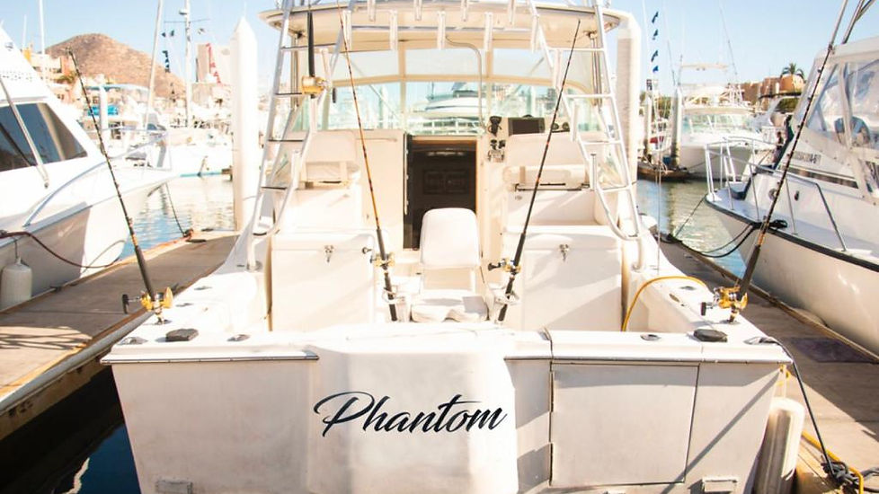 PHANTOM 33 FT
