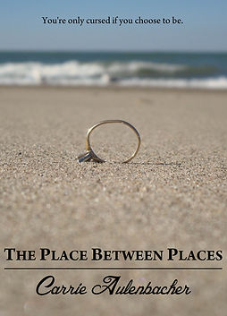 The Place Between Places Carrie Aulenbacher
