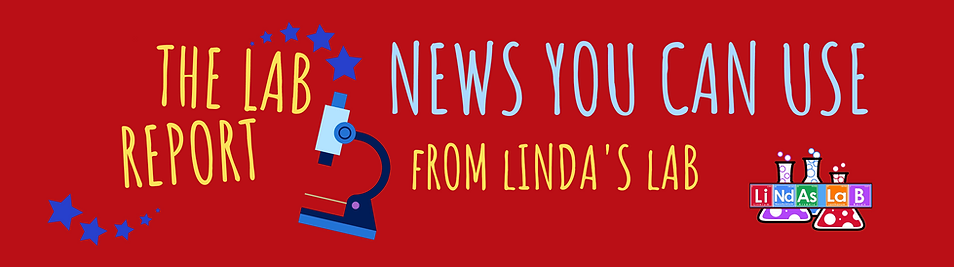 Lab Report Header (3).png