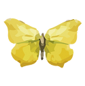 Watercolor Butterfly 17