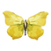 Watercolor Butterfly 17
