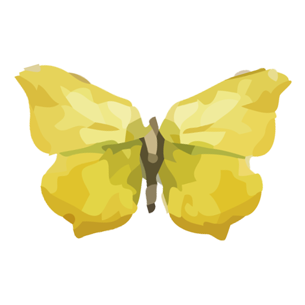 Yellow Butterfly Illustration
