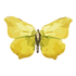 Borboleta 5