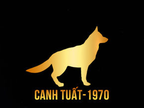 Người sinh năm 1970 nên đeo đá quý màu gì ? Tư vấn trang sức phong thủy cho người sinh năm Canh Tuất