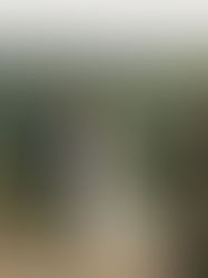 bride and groom over looking estuary at mar hall for summer wedding