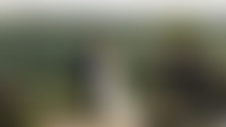 bride and groom over looking estuary at mar hall for summer wedding