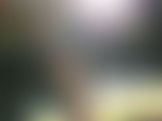 Naewhere compAYRs to the Brig O Doon for a Fun Scottish Wedding 