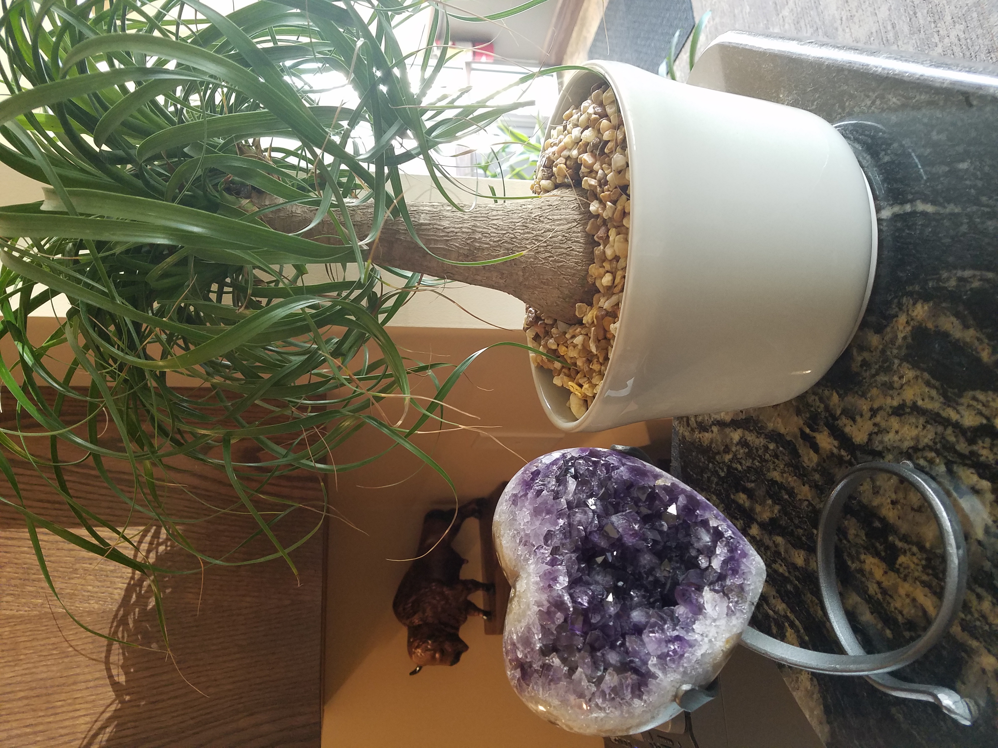 Buffalo Dental Implant Buffalo NY & Cheektowaga NY