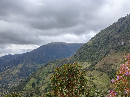 “RECUPERAR LA TIERRA PARA RECUPERARLO TODO” Insignia Misak