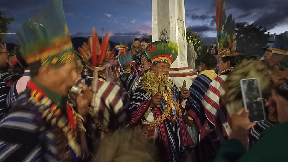 El futuro está en las raíces