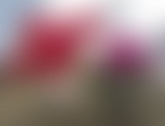 年末年始休業のお知らせ