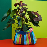 WhatsApp Image 2026-01-08 at 06.51.18.jpeg