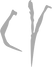 cv_edited_edited_edited_edited.png