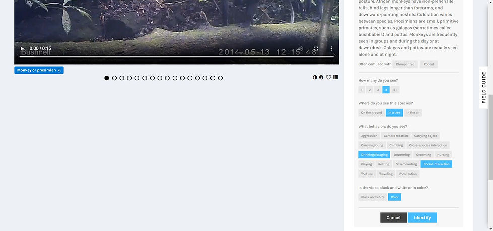Screenshot%20(385)_edited.jpg