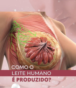 Como o leite humano é produzido?