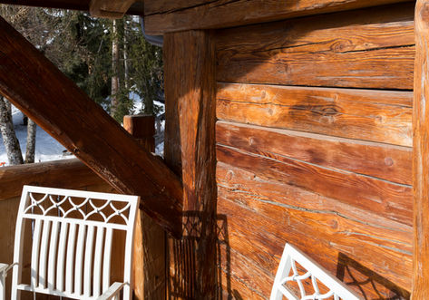 6677_Assaf Pinchuk photography.jpeg