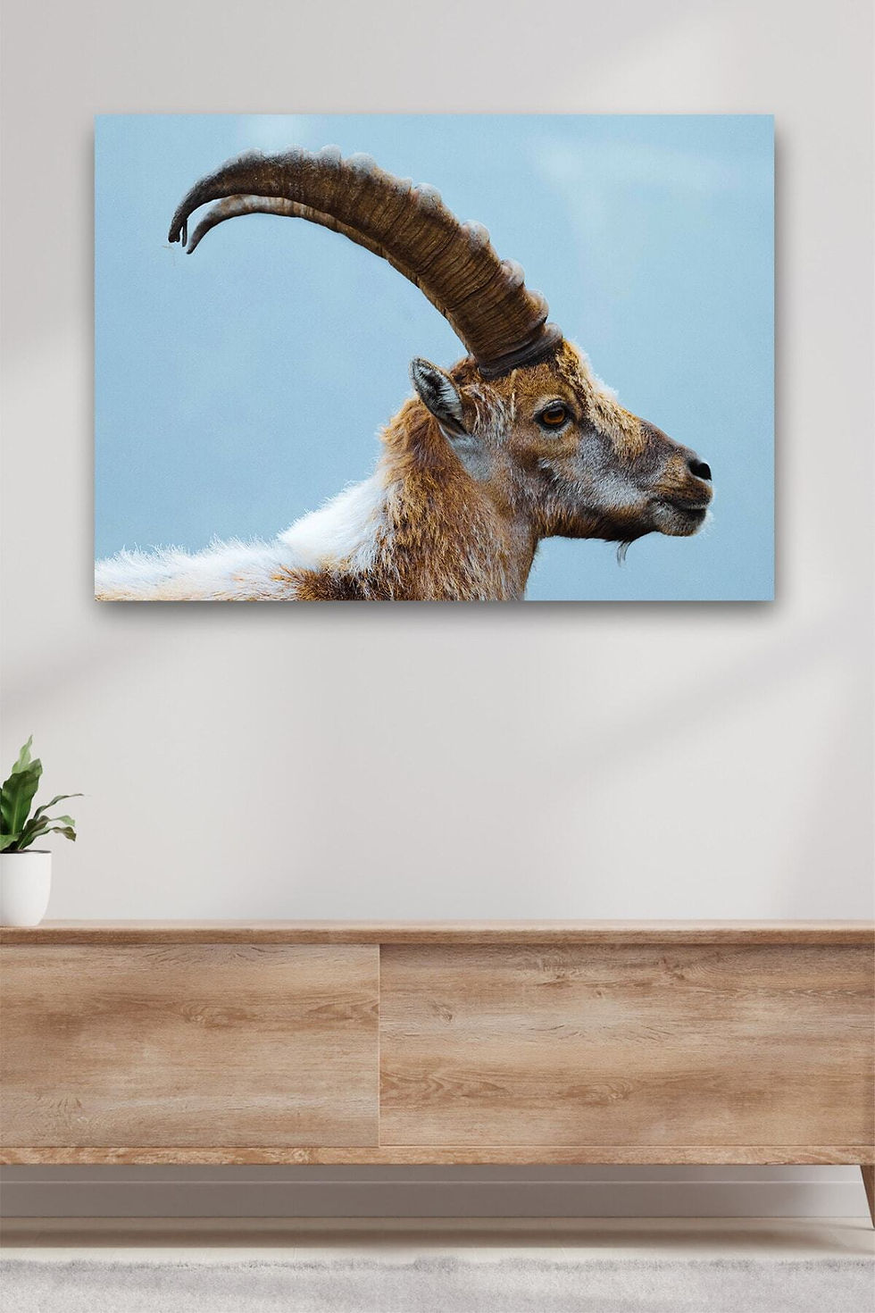 Keçi Kanvas Dekoratif Duvar Tablosu Baskılı