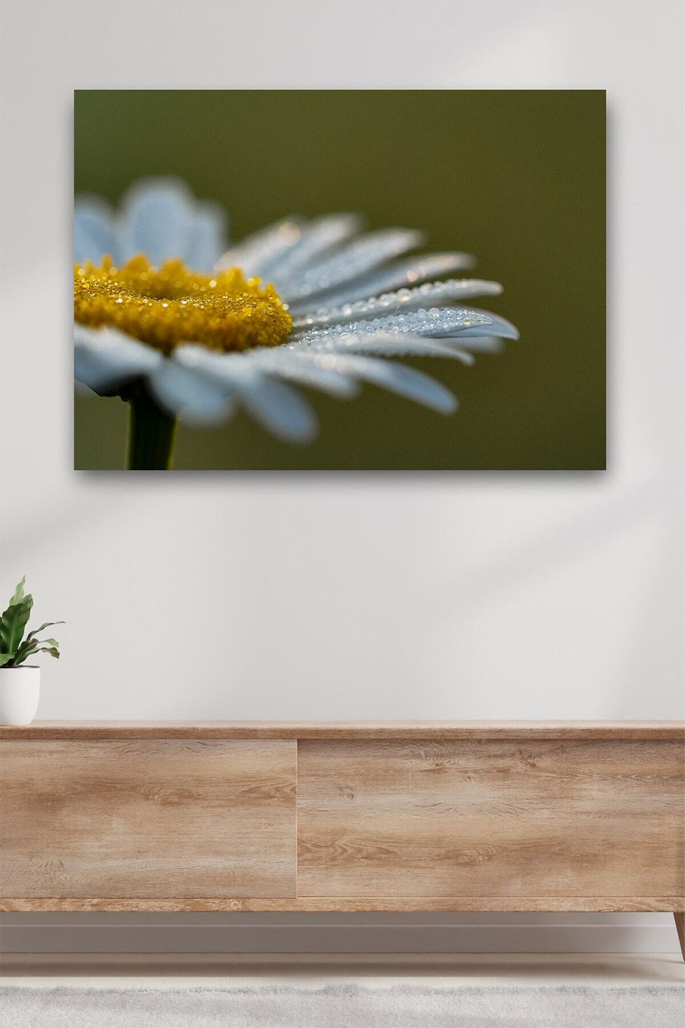 Papatya Kanvas Dekoratif Duvar Tablosu Baskılı