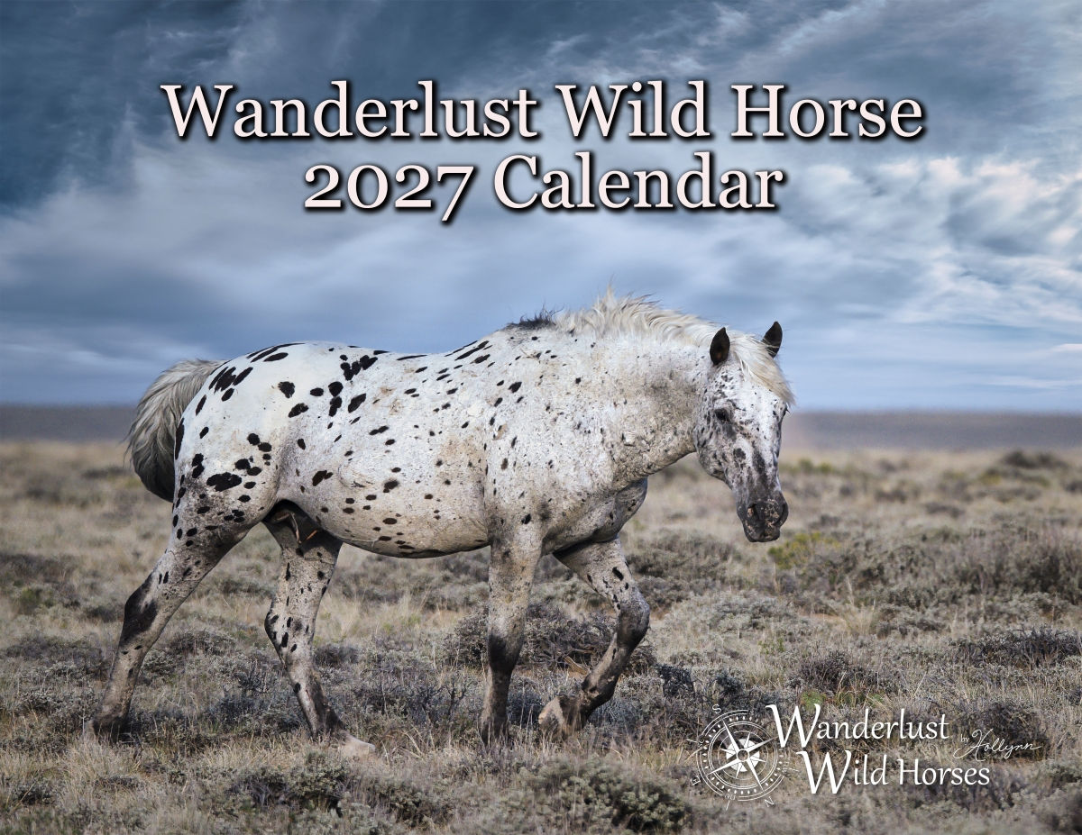 2027 Wild Horse Calendar - Classic edition