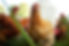 chicken-3994.jpg