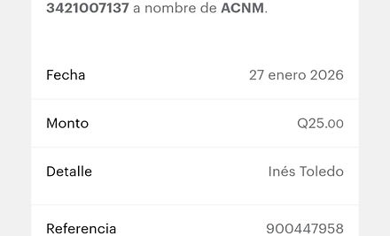 Ejemplo Boleta.jpg