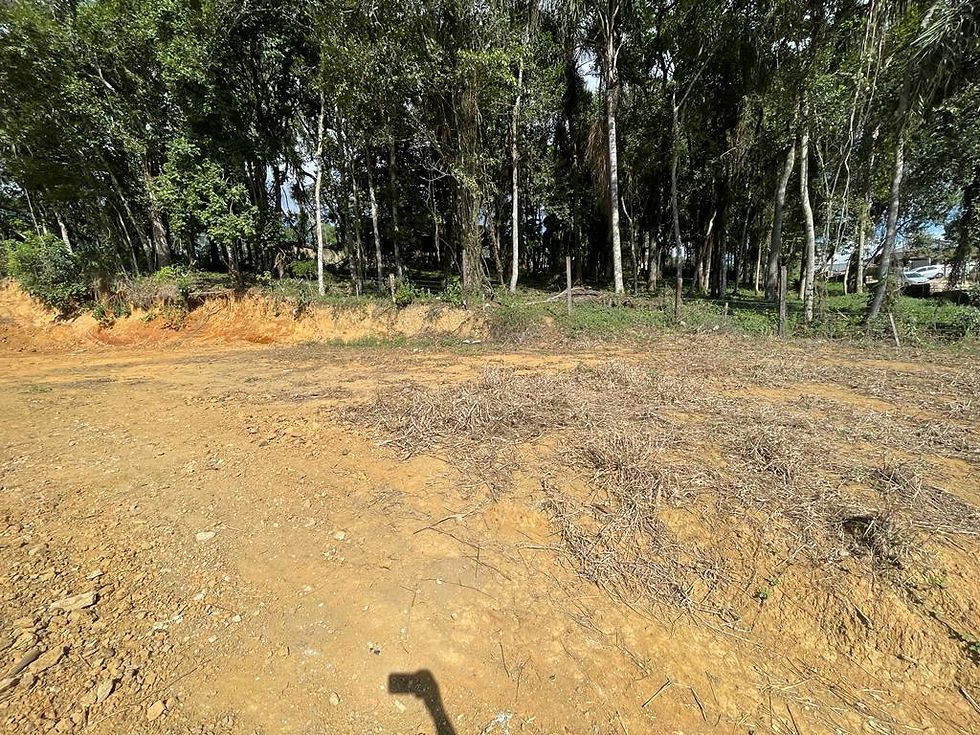 Miniatura: Esse Terreno é para você investidor! Localizado próximo a rua Santa Catarina