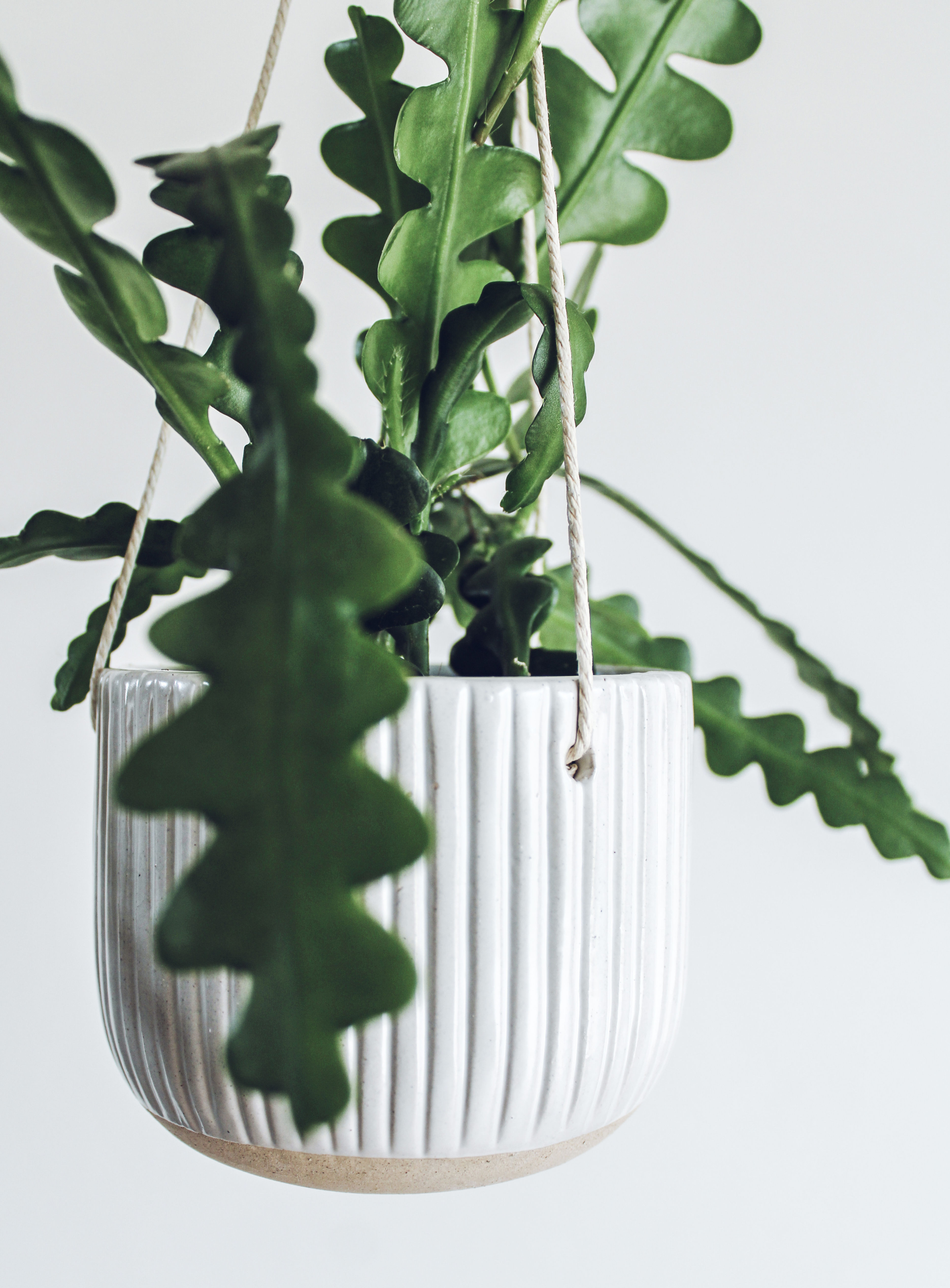 Cache-pot à suspendre "Linette"