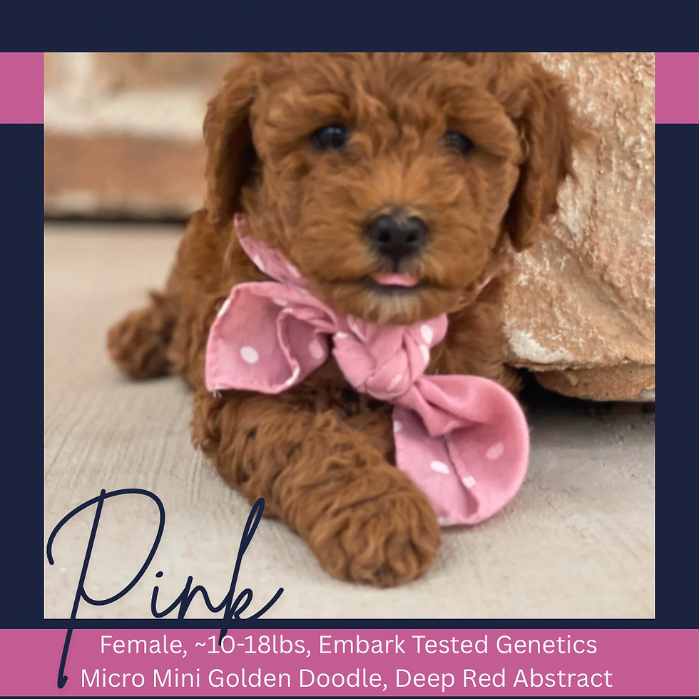 Thumbnail: Pink Female