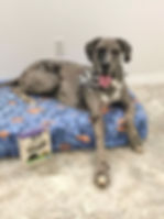 316D8192-EE21-4509-AD07-630E7CB8DC9B