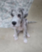 Resized_Snapchat-1740250008