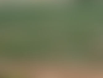 Unlocking Land Potential: Innovative Strategies for Growth