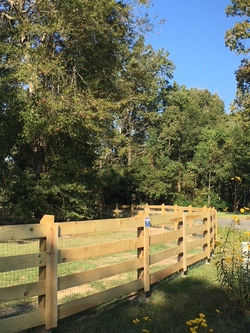 4 foot horse rail fence in front with hog wire, integrated into fence 2