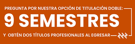 Doble T.png
