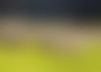 Focus on the Fabulous