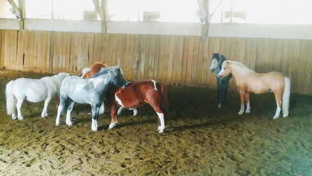 PoneysManège