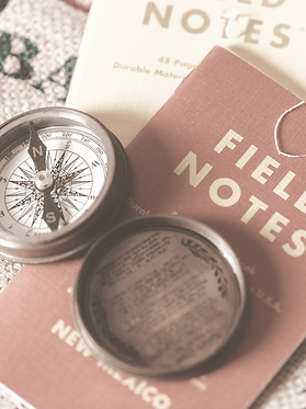 round white and black direction compass_