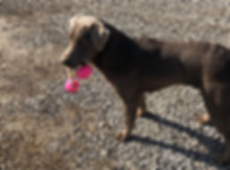 image1 (1).jpeg