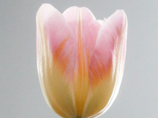 Gyermeknőgyógyászati vizsgálat menete: mit vizsgálunk, mikor kell orvoshoz fordulni?