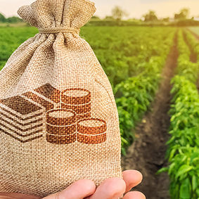 AG TIPS: STRAIGHTENING UP YOUR FINANCIALS FOR 2021