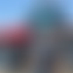 MEET THE PEOPLE: HOLT AG SOLUTIONS