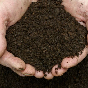 AG TIPS: 4 THINGS TO LOOK FOR IN QUALITY COMPOST