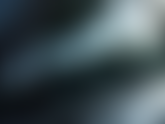 Understanding the Differences Between Window Tint Types for Optimal Heat Rejection