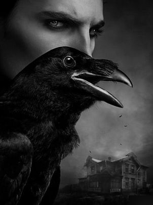 Der Rabenjunge in der fremden Stadt