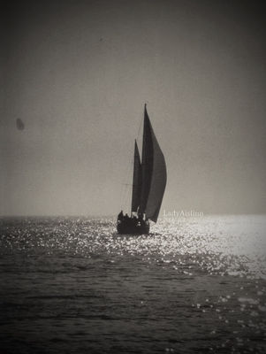 Kroatien und Klopapier